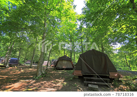 Plateau campsite Plateau campsite 78718316