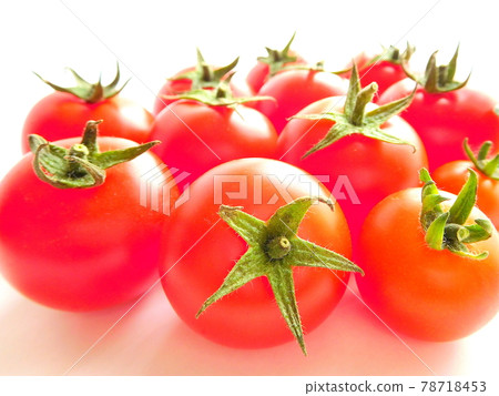 Tomato Tomato, ripe tomato, bright red tomato, taking a picture 78718453