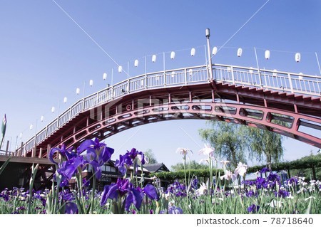 Ayame Itako Ayame Garden 78718640