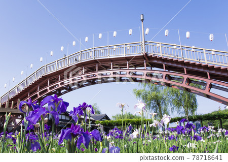 Ayame Itako Ayame Garden 78718641