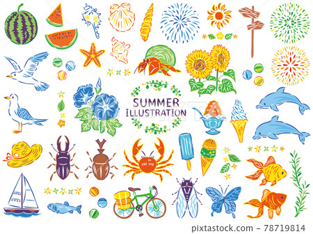 Summer illustration material set Summer illustration material set 78719814