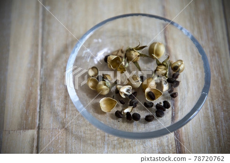Morning glory seeds Morning glory seeds 78720762