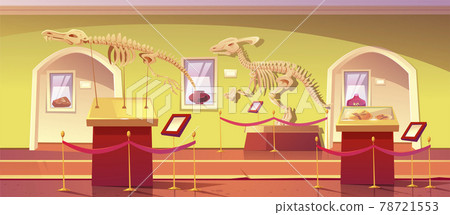 Museum of history with dinosaur skeleton artifacts 78721553