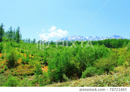 Beautiful Mt. Mitake Part 2106 78721865