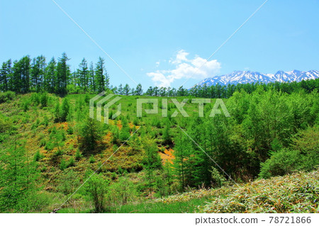 Beautiful Mt. Mitake Part 2106 78721866