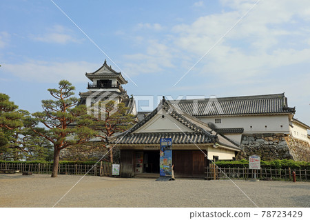 高知城堡在春天 78723429