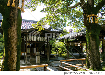 Seiryu Myon Bensaiten (Myon Demachi Myondo) (Seiryucho, Kamigyo-ku, Kyoto City, Kyoto Prefecture) 78723445
