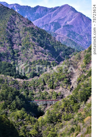 未開發的地區 大井川鐵道井川線 穿越日本最高的關澤大橋 未開發的地區 大井川鐵道井川線 穿越日本最高的關澤大橋 78723614