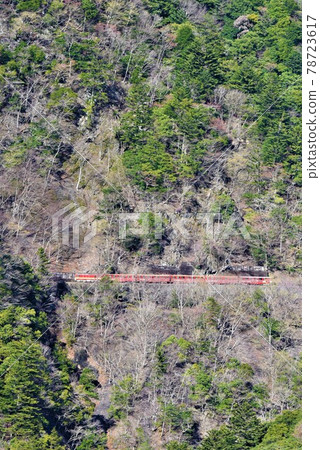 未開發的地區 大井川鐵道井川線 穿越日本最高的關澤大橋 未開發的地區 大井川鐵道井川線 穿越日本最高的關澤大橋 78723617