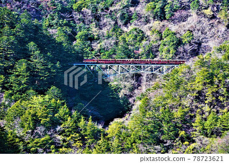 未開發的地區 大井川鐵道井川線 穿越日本最高的關澤大橋 未開發的地區 大井川鐵道井川線 穿越日本最高的關澤大橋 78723621