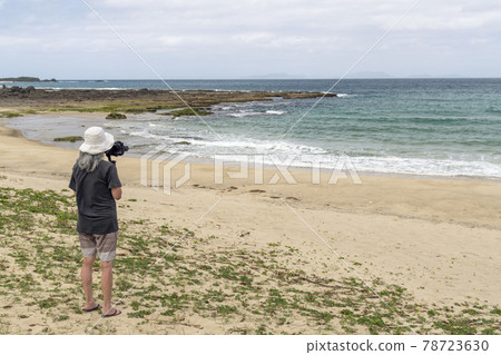 A female photographer shooting videos at Rikubama Beach in Tokunoshima, Kagoshima Prefecture 78723630