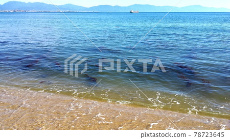 Summer Iyo-nada seen from the beach of Gogo Island in Matsuyama City, Ehime Prefecture [June] 78723645