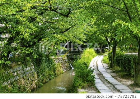 Philosophy Road (Sakyo Ward, Kyoto City, Kyoto Prefecture) Philosophy Road (Sakyo Ward, Kyoto City, Kyoto Prefecture) 78723792