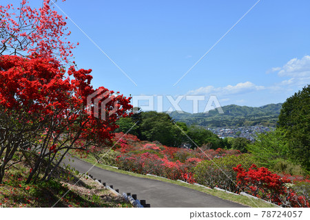 我去了笠間築地公園#68 我去了笠間築地公園#68 78724057