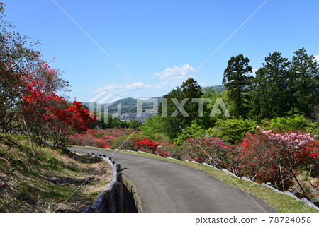 我去了笠間築地公園#67 78724058