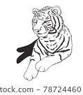 Dora   78724460
