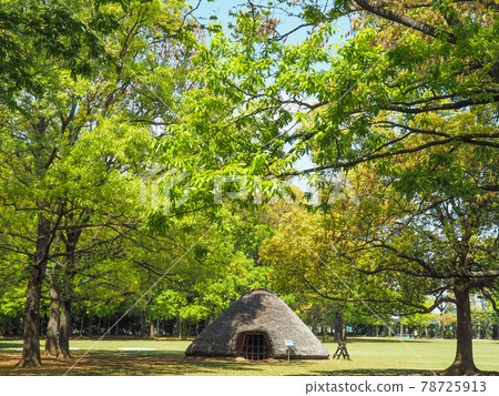 埼玉縣富士見市水子貝塚公園 埼玉縣富士見市水子貝塚公園 78725913