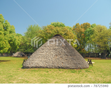 Mizuko Shell Mound Park, Fujimi City, Saitama Prefecture Mizuko Shell Mound Park, Fujimi City, Saitama Prefecture 78725940