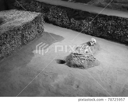 埼玉縣富士見市水子貝塚公園 78725957