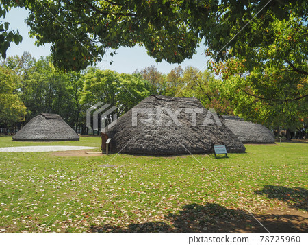 Mizuko Shell Mound Park, Fujimi City, Saitama Prefecture Mizuko Shell Mound Park, Fujimi City, Saitama Prefecture 78725960