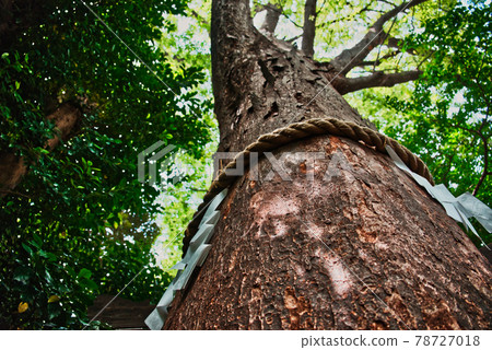 Towering Kamiki Towering Kamiki 78727018