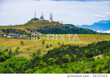 (Nagano Prefecture) Utsukushigahara Plateau, Ogatoh, Distant view of the Northern Alps (Nagano Prefecture) Utsukushigahara Plateau, Ogatoh, Distant view of the Northern Alps 78727429