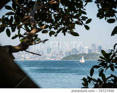 Sydney skyline shot through tree branches,Shot in Sydney, New South Wales, Australia Sydney skyline shot through tree branches,Shot in Sydney, New South Wales, Australia 78727486