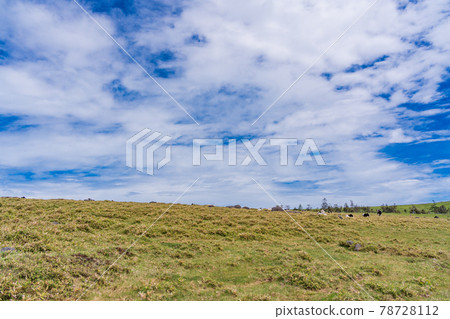 (Nagano Prefecture) Midagahara plateau ranch (Nagano Prefecture) Midagahara plateau ranch 78728112