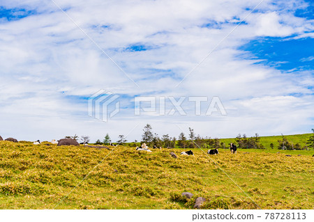 (Nagano Prefecture) Midagahara plateau ranch (Nagano Prefecture) Midagahara plateau ranch 78728113
