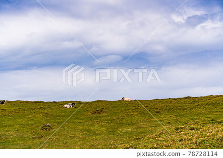 （長野縣）Midagahara高原牧場 78728114