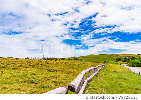 (Nagano Prefecture) Midagahara plateau ranch 78728115