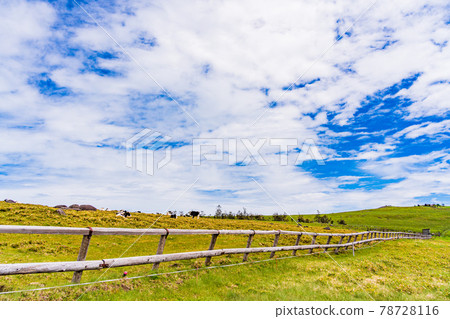 (Nagano Prefecture) Midagahara plateau ranch 78728116