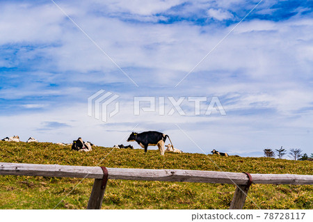 (Nagano Prefecture) Midagahara plateau ranch 78728117