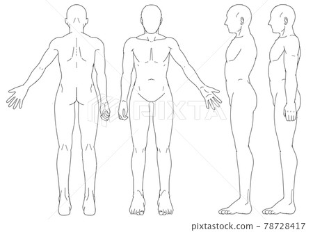 Human body male body three-view Human body male body three-view 78728417
