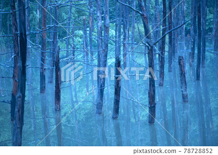 一個充滿藍色水的池塘 78728852