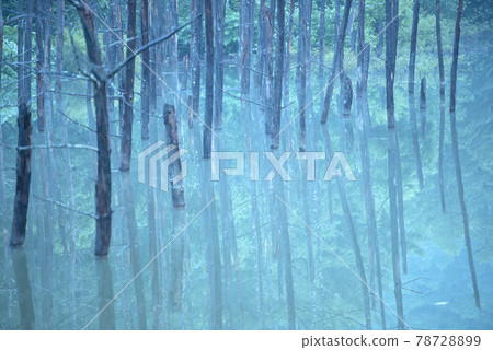 A pond filled with blue water A pond filled with blue water 78728899