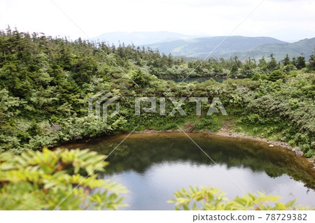 夏天的八幡平，倒映雲彩的奇觀池塘 78729382
