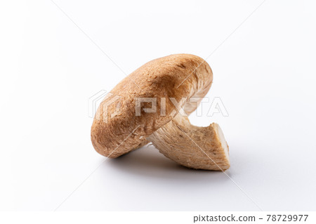 Shiitake Shiitake 78729977