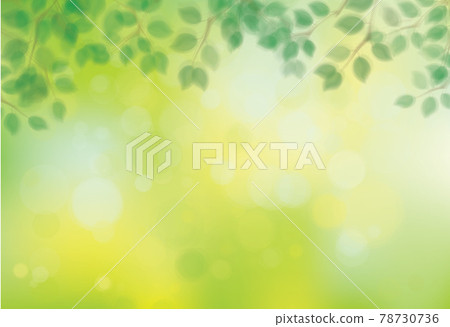 Vector green, bokeh, nature background. Green leaves border. Blurred effect. Vector green, bokeh, nature background. Green leaves border. Blurred effect. 78730736