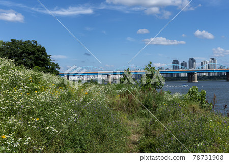 Operation Bridge Operation Bridge 78731908