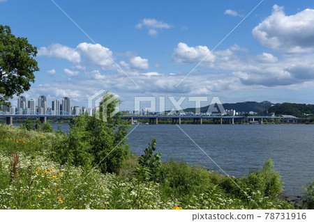 Operation Bridge Operation Bridge 78731916