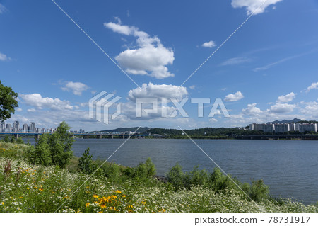 Operation Bridge 78731917