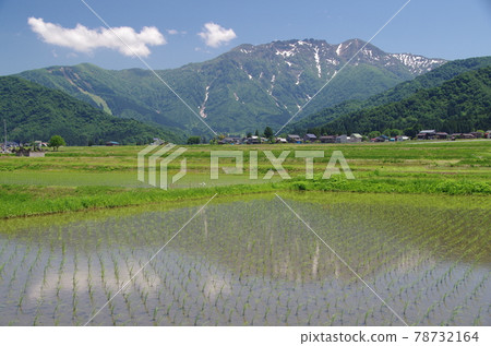 八kai山映襯在稻田中 八kai山映襯在稻田中 78732164