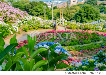 Katahara Onsen Hydrangea Village <Gamagori City, Aichi Prefecture> Katahara Onsen Hydrangea Village <Gamagori City, Aichi Prefecture> 78732346