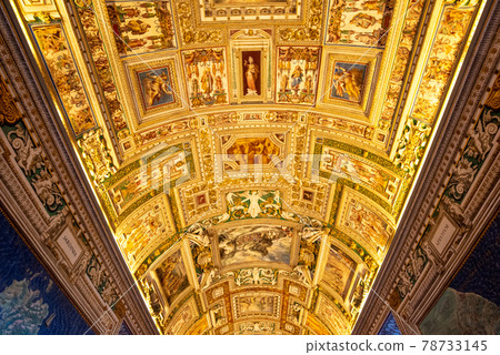 Vatican Museums of Arts 78733145