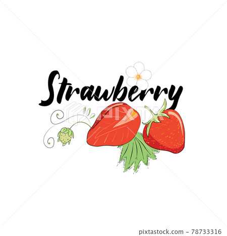 Vector image of strawberries 78733316