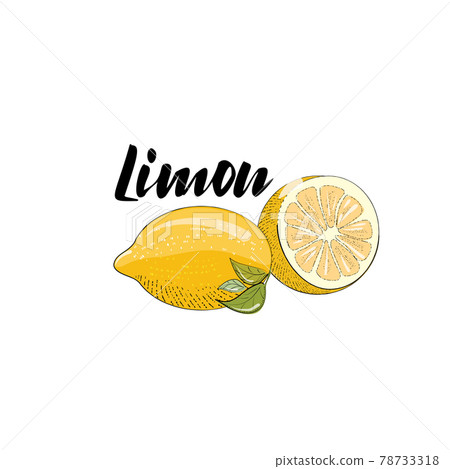 Vector image of a lemon Vector image of a lemon 78733318