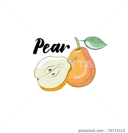 Vector image of a pear 78733319