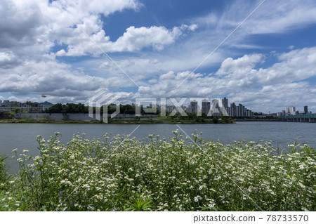 漢江大橋 漢江大橋 78733570