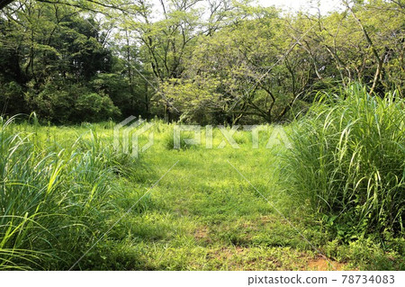 Takiyama Castle 78734083